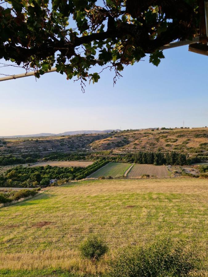 Arodafni House. Unique Views And Amazing Sunsets. Kouklia Exteriör bild